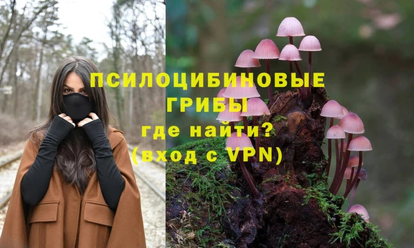 хмурый Балахна